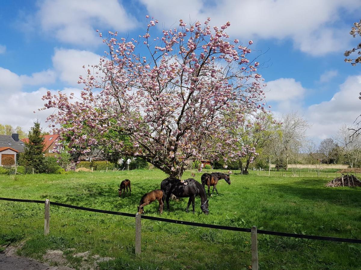 Harle-Casa.Ostfriesland Villa Altfunnixsiel Exteriör bild